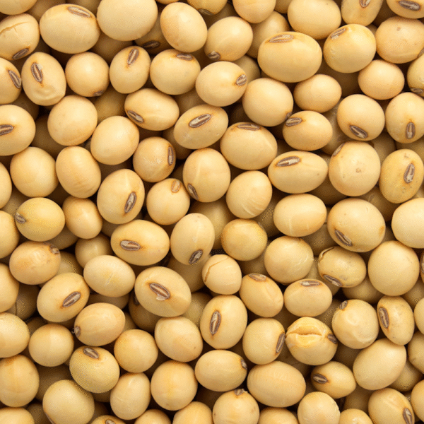 Soyabean dal